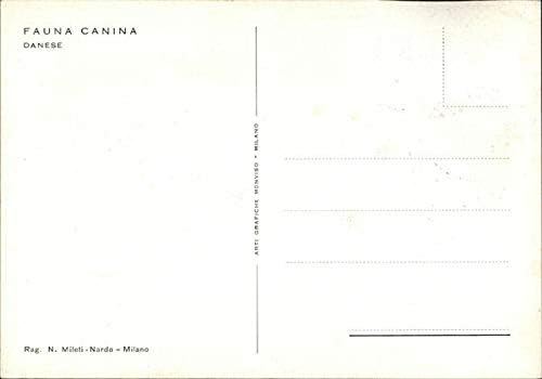 Fauna Canina, Danese Maksimalne kartice Originalne vintage razglednice