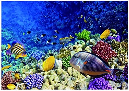 Oprema za dekoraciju akvarijuma,Ornament akvarijuma,statua staništa, 3D Sea World Fish Tank pozadinsko lepljenje podvodnog rezervoara