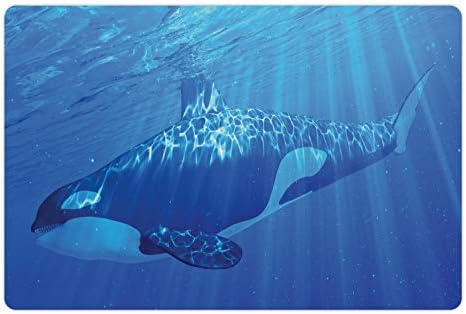 Lunarable Orca prostirka za kućne ljubimce za hranu i vodu, fascinantna Podvodna fotografija kitova ubica koji pliva u blizini površine,