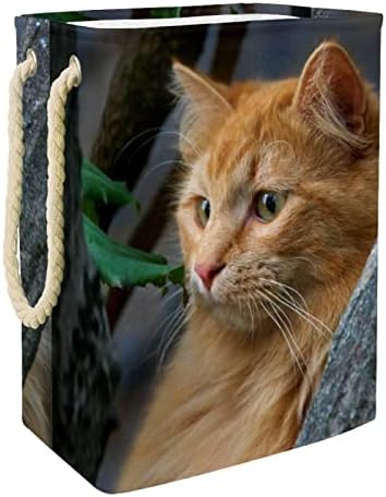 Inhomer Cat uzorak velika korpa za veš vodootporna sklopiva korpa za odeću za organizatore igračaka za odeću, kućni dekor za spavaću