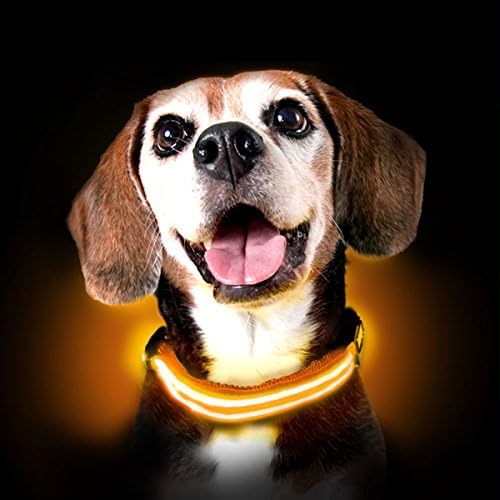 Sjaj za pse Ultimate LED ovratnik za pse - USB punjivi, uključeni kabel, 5 strašnih boja. Ultra svijetla, izdržljiva, napravljena