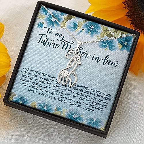 Nakit za poruke, ručno rađena ogrlica - inspirativna za moju buduću svekrvu voljet ću i njeguti vašeg sina koliko i vi - ogrlica za