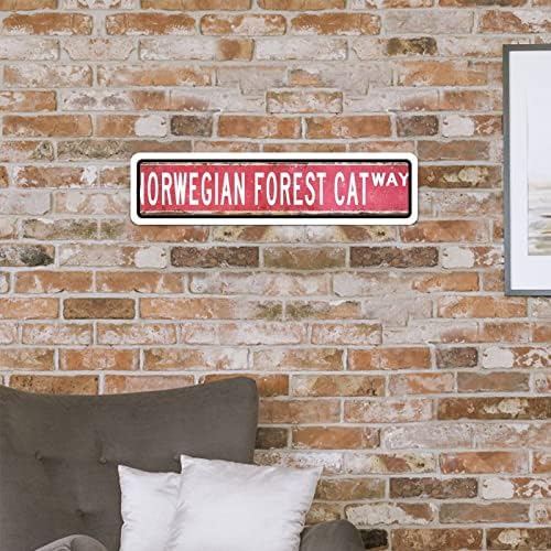 Personalizirani porodični znak Norveška šumska mačka personalizirana ulična potpisuje Norveška šumska mačja zidna vješalica prednje