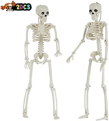 Kosturi za Noć vještica Halloween dekoracija lobanje Realistični umjetni ljudski kosturi s pokretnim zglobovima, 16 inča cijelo tijelo,2