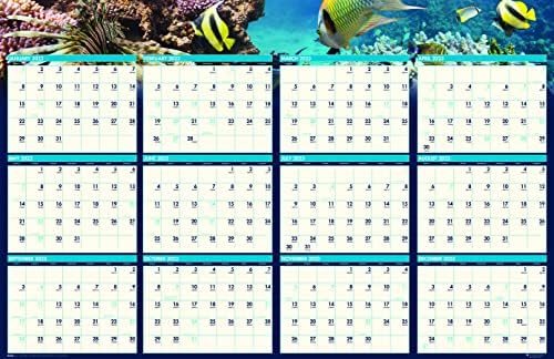 Kuća Doolittle 2023 kalendar laminiranog brisanja zidova, Earthscapes Scenic, reverzibilan, 24 x 37 inča, januar-decembar