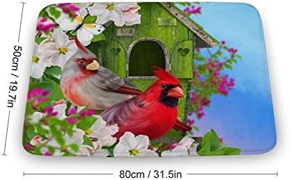 Fisnee Spring Sunmmer Bird sjedi na podružnom met za kupanje dvije kardinalne ptice u kupaonici mekani prostirke za upijajuće prostirke